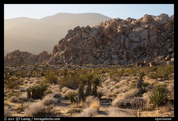 Boulder outcrop and ridge, Indian Cove. Joshua Tree National Park (color)