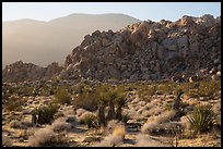 Boulder outcrop and ridge, Indian Cove. Joshua Tree National Park ( color)