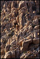 Massive boulder pile, Indian Cove. Joshua Tree National Park ( color)