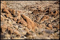Rocks and desert slope. Joshua Tree National Park ( color)