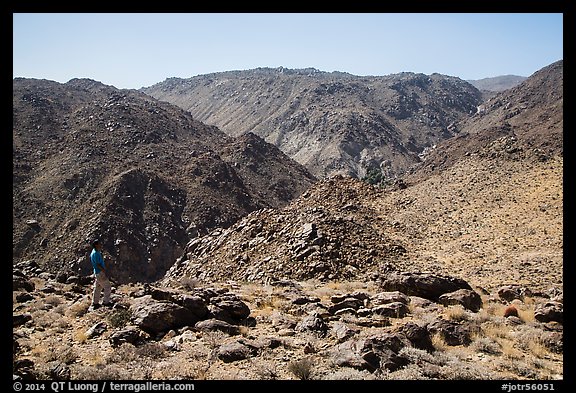 Park visitor looking, Queen Mountains. Joshua Tree National Park (color)