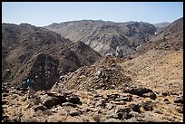 Park visitor looking, Queen Mountains. Joshua Tree National Park ( color)