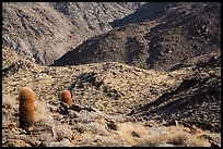 Barrel cacti and rocky slopes. Joshua Tree National Park ( color)