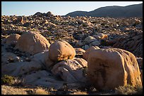 Huge boulders, White Tanks. Joshua Tree National Park ( color)