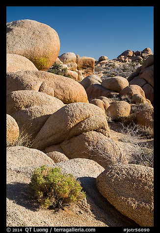 Sage and boulders, White Tanks. Joshua Tree National Park (color)