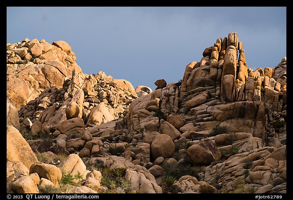 Wonderland of Rocks. Joshua Tree National Park (color)