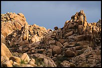 Wonderland of Rocks. Joshua Tree National Park ( color)