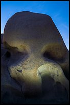 Skull Rock lighted at night. Joshua Tree National Park ( color)