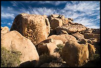 Boulder outcrop. Joshua Tree National Park ( color)