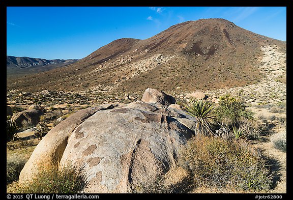 Malapai Hill. Joshua Tree National Park (color)