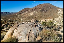 Malapai Hill. Joshua Tree National Park ( color)