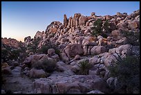 Dusk, Hidden Valley. Joshua Tree National Park ( color)