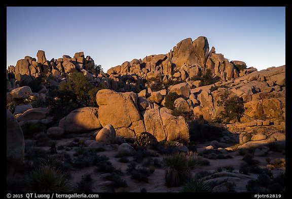 Moonlight, Hidden Valley. Joshua Tree National Park (color)