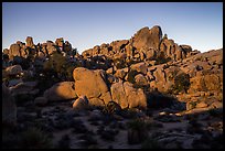 Moonlight, Hidden Valley. Joshua Tree National Park ( color)