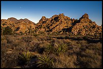 Hidden Valley with light of moonrise. Joshua Tree National Park ( color)