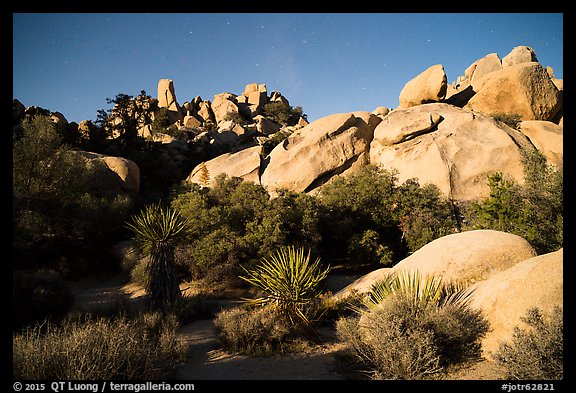 Hidden Valley at night. Joshua Tree National Park (color)