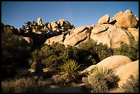 Hidden Valley at night. Joshua Tree National Park ( color)