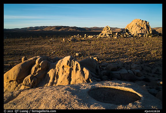 View from top of rock over Joshua Tree plain. Joshua Tree National Park (color)
