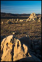 View over Joshua Trees and rocks from above. Joshua Tree National Park ( color)