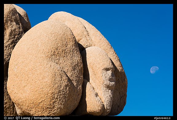 Boulder with sphynx shape and moon. Joshua Tree National Park (color)
