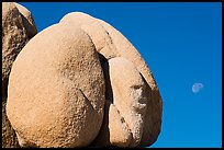 Boulder with sphynx shape and moon. Joshua Tree National Park ( color)