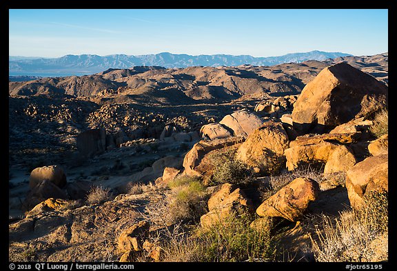 Boulders at base of Mastodon Peak, sunrise. Joshua Tree National Park (color)