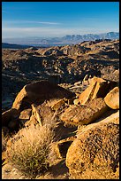 View towards Salton Sea from Mastodon Peak, sunrise. Joshua Tree National Park ( color)