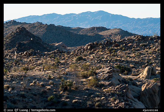 Boulders, ridges, and Eagle Mountain. Joshua Tree National Park (color)