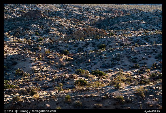 Desert ridges. Joshua Tree National Park (color)