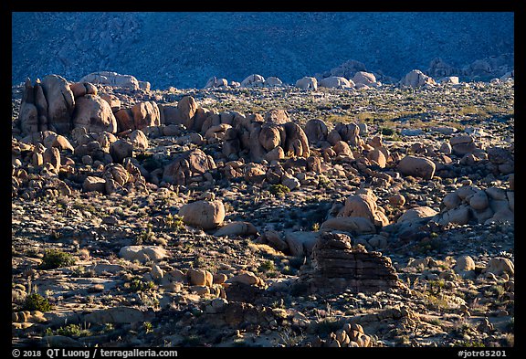 Clusters of boulders. Joshua Tree National Park (color)