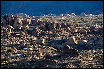 Clusters of boulders. Joshua Tree National Park ( color)