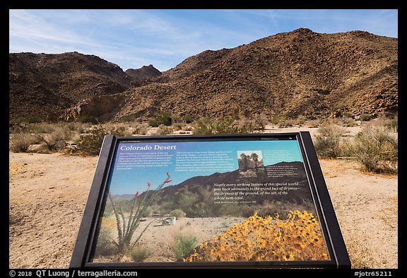 Colorado Desert interpretive sign. Joshua Tree National Park (color)