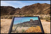 Colorado Desert interpretive sign. Joshua Tree National Park ( color)