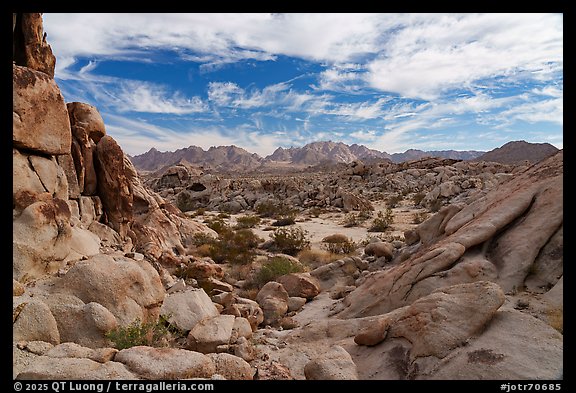 Granite rock piles and Coxcomb Range. Joshua Tree National Park (color)
