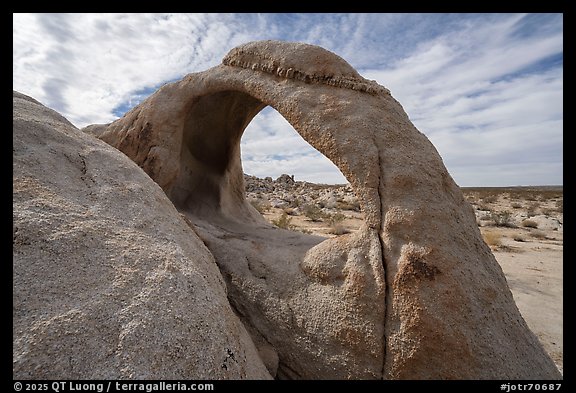 Scorpius Arch rising above desert flats. Joshua Tree National Park (color)