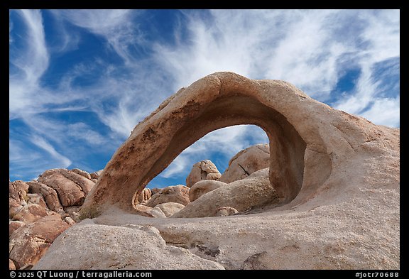 Scorpius Arch and boulders. Joshua Tree National Park (color)