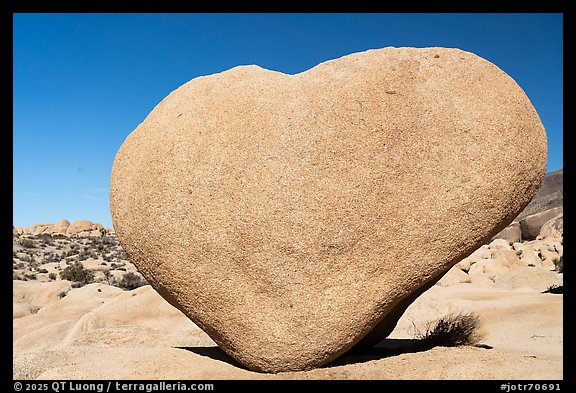 Heart Rock. Joshua Tree National Park (color)
