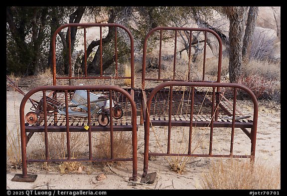 Bed frames. Joshua Tree National Park (color)