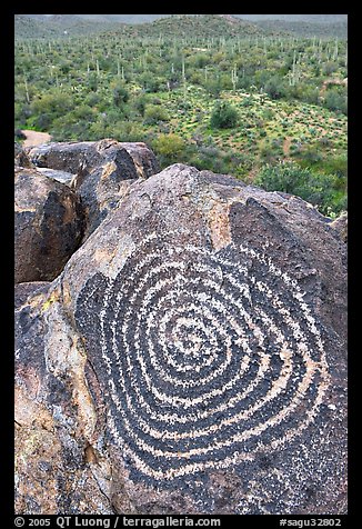 Circular Hohokam petroglyph. Saguaro National Park, Arizona, USA.