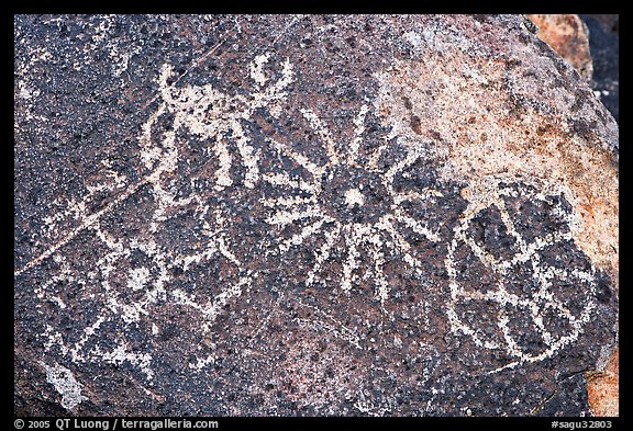 Hohokam petroglyphs. Saguaro National Park, Arizona, USA.