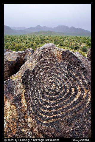 Circular Hohokam petroglyphs on Signal Hill. Saguaro National Park, Arizona, USA.