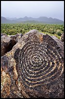 Circular Hohokam petroglyphs on Signal Hill. Saguaro National Park, Arizona, USA. (color)