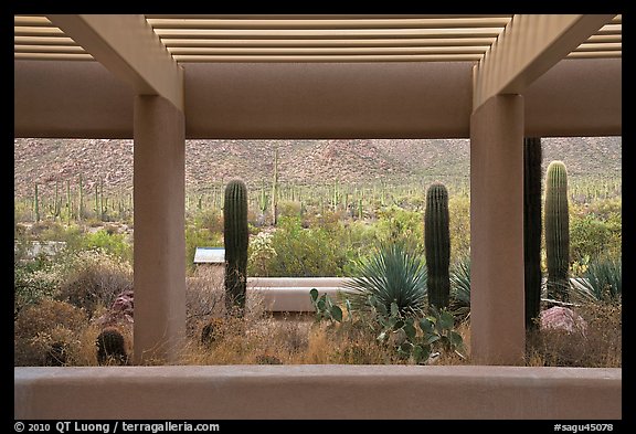 Red Hills Visitor Center. Saguaro National Park (color)
