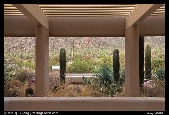 Red Hills Visitor Center. Saguaro National Park, Arizona, USA.