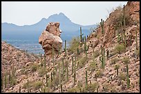 Cactus slope and balanced rock. Saguaro National Park ( color)
