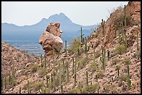 Cactus slope and balanced rock. Saguaro National Park, Arizona, USA. (color)