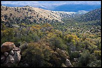 Chaparral and oaks along Miller Creek, Rincon Mountain District. Saguaro National Park ( color)