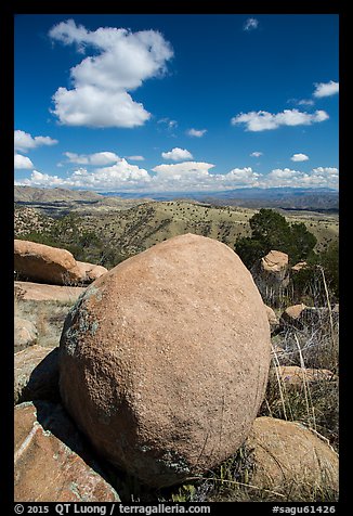 Round boulder, Rincon Mountains foothills. Saguaro National Park (color)