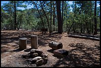 Happy Valley Campground. Saguaro National Park ( color)