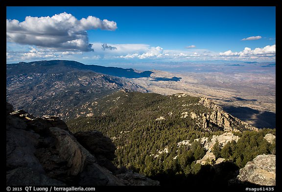 Northeast view over forest and desert from Rincon Peak. Saguaro National Park (color)